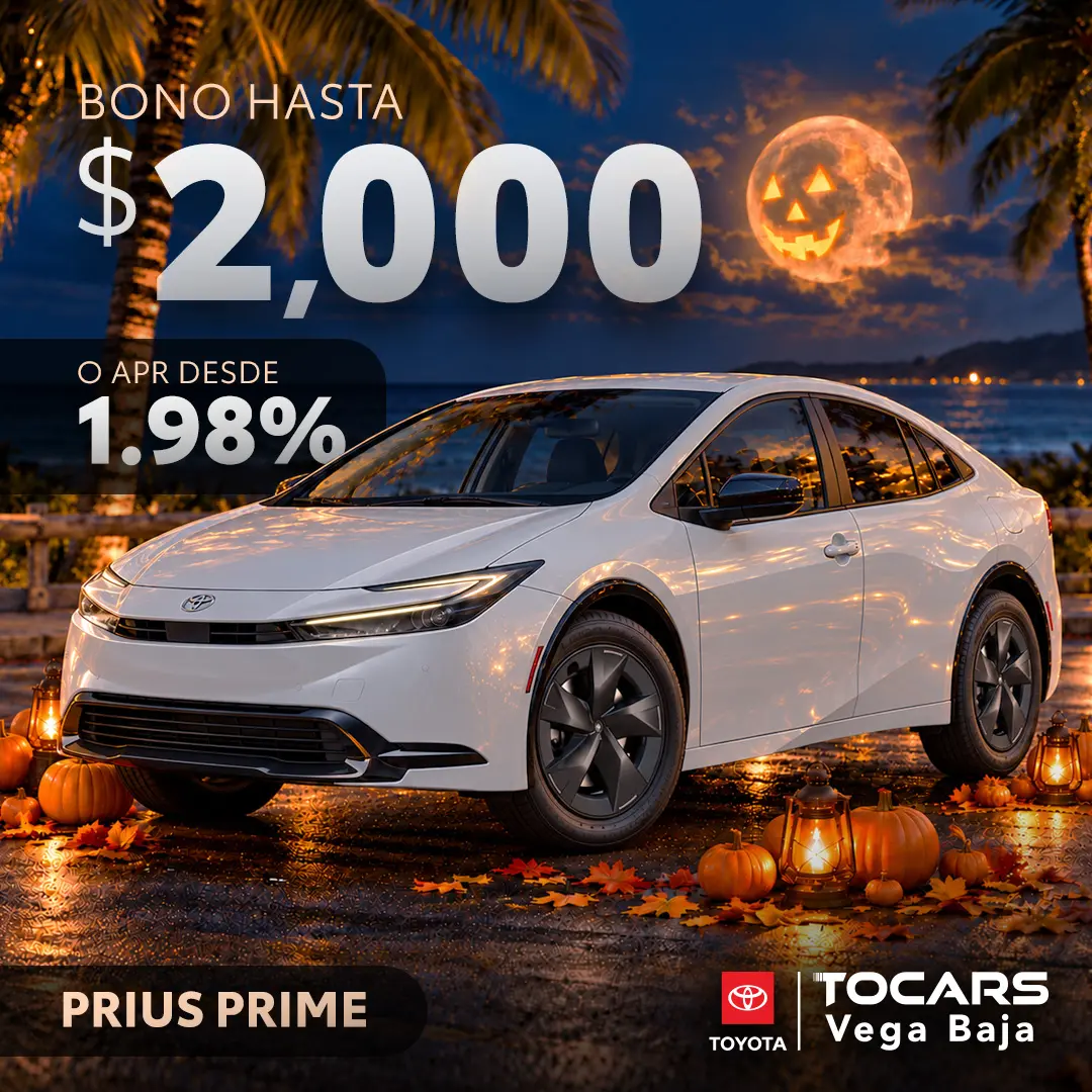 Nuestras ofertas